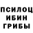 Псилоцибиновые грибы мицелий Natalia nikonchuk
