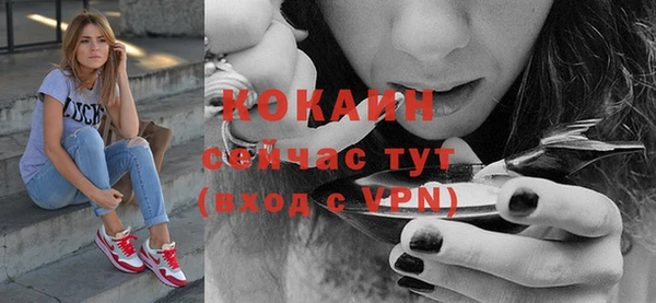твердый Балахна